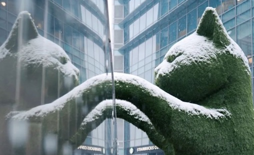 Beijing Rongke Information Center – FAFA Dragon & FAFA Cat, 2024